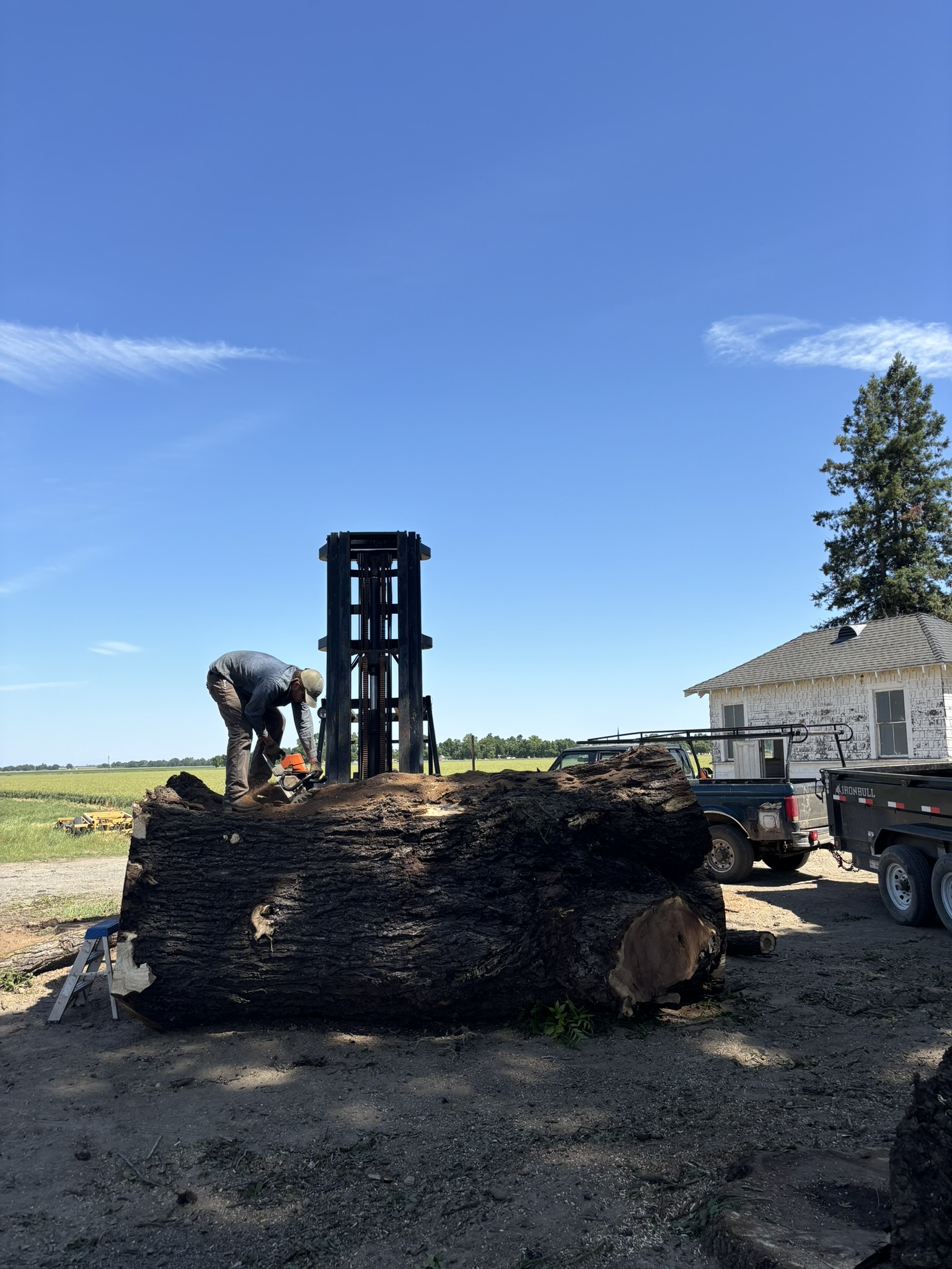 Log preparation